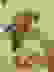 item-18542464=4