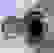 item-23849219=3