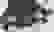 item-23849229=3