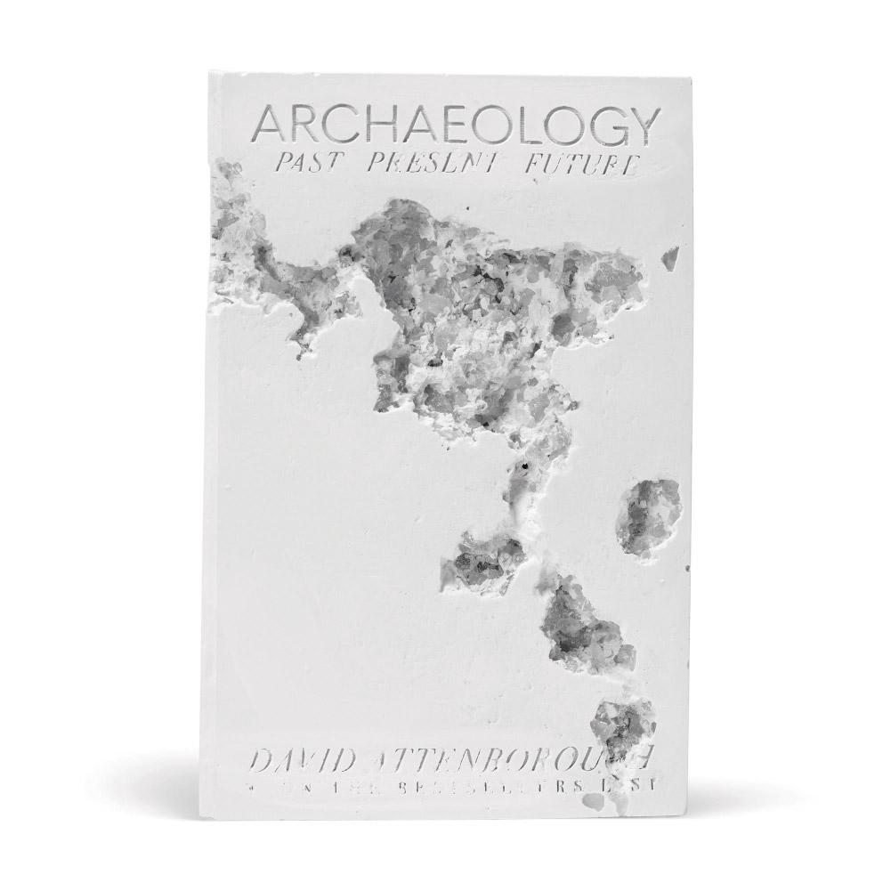 Daniel ARSHAM - Fictional Nonfiction Archaeology: Mixed media 2019 24x15x3 cm(9.4x5.9x1.1 in.) Edition of 500 With original box