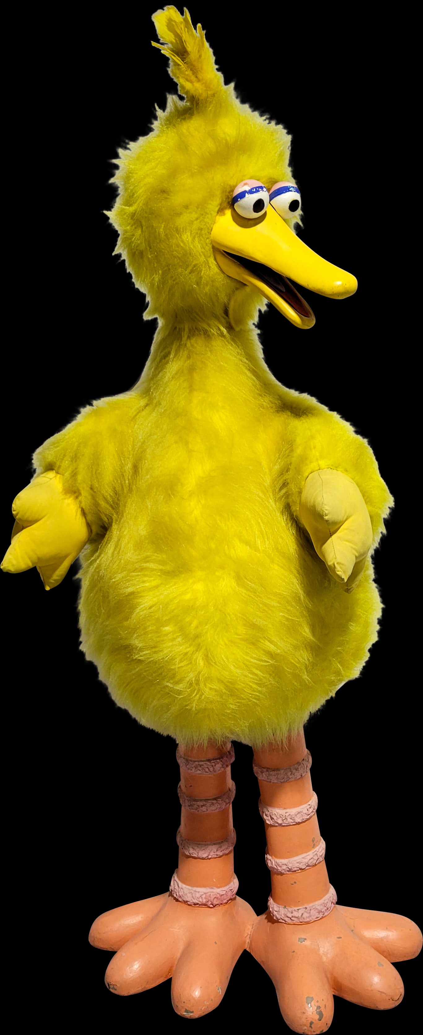 Large Life Size Big Bird (1 of 3)