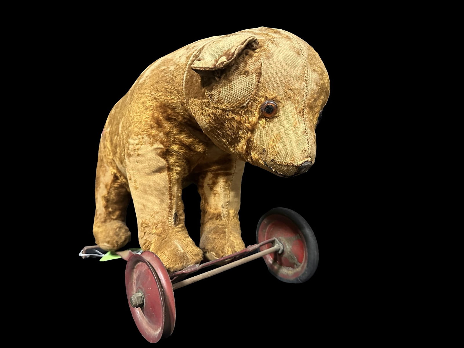 Steiff bear on wheels (1 of 2)