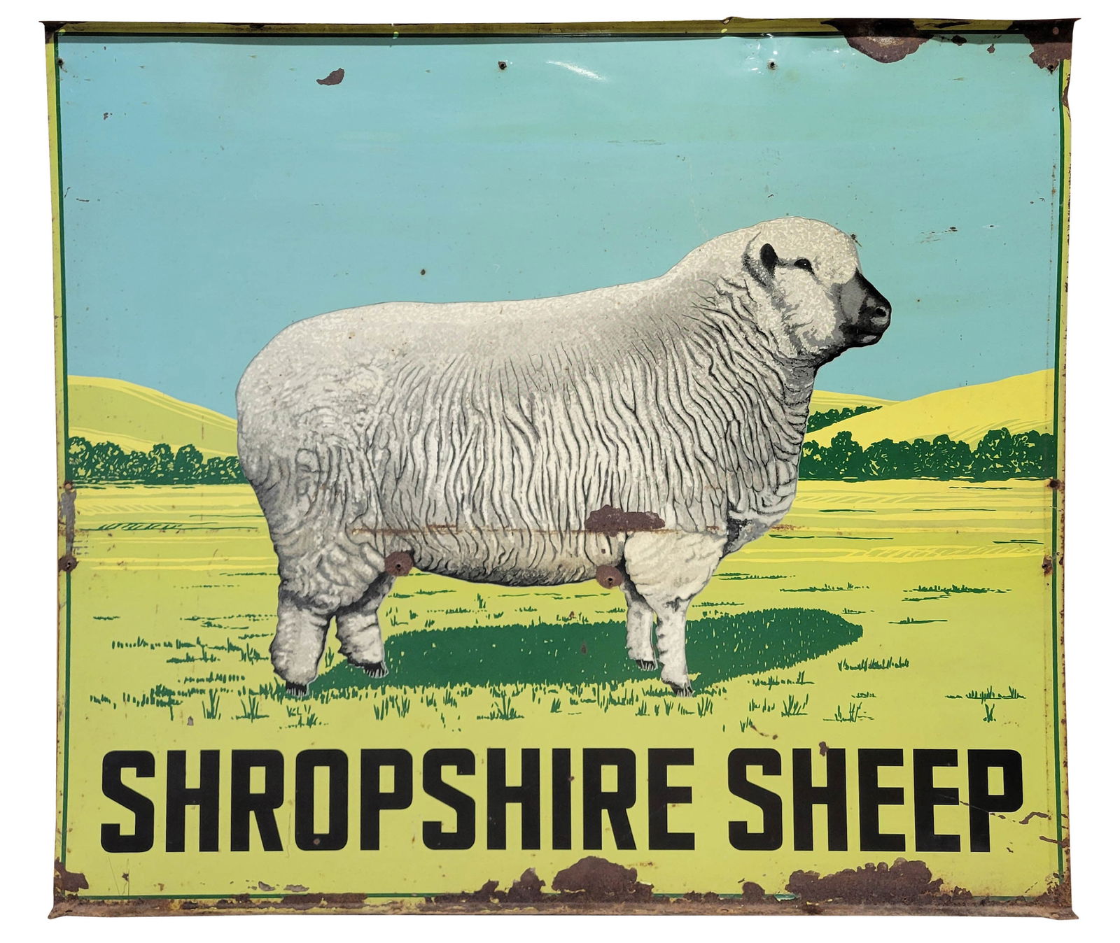 Shropshire Sheep 4' DST Farm Sign (1 of 3)