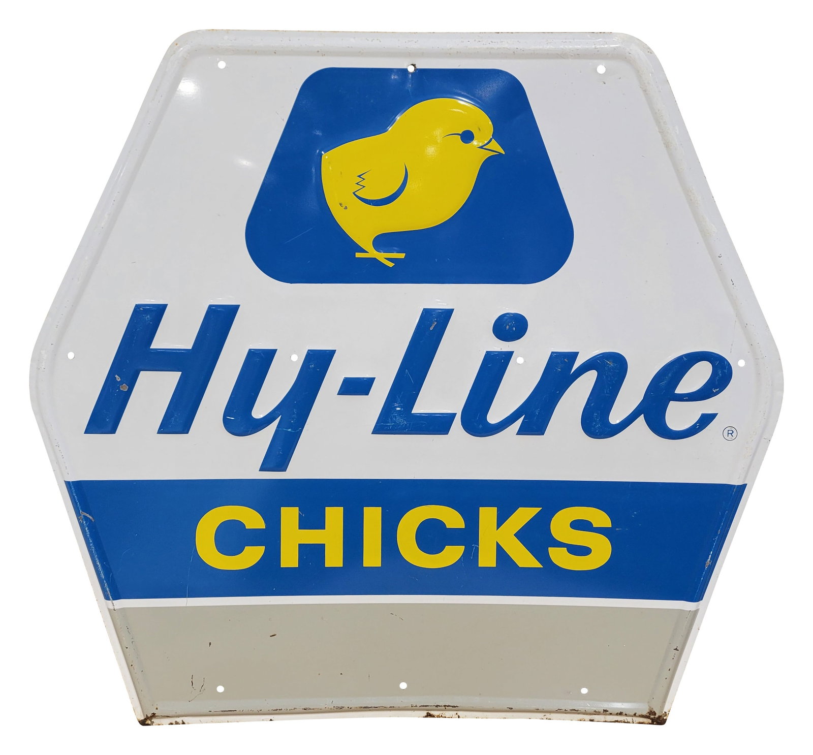 Hy-Line Chicks Embossed Single Sided Tin Sign: 36" x 33.5" embossed SST sign exhibits good color and shine with moderate wear in the field including scuffs, scratches, and small dings. There are touch ups around the self framed perimeter with seve