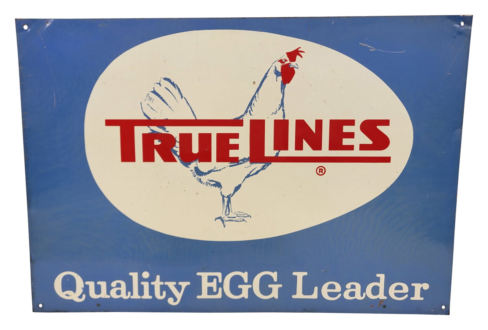 True Lines Quality Egg Leader SST Sign: 20" x 14" single sided tin sign displays minor wear in the field with fine scratches and small marks. There is a 2" scratch near the upper right corner. The perimeter has minor wear with a few shallow