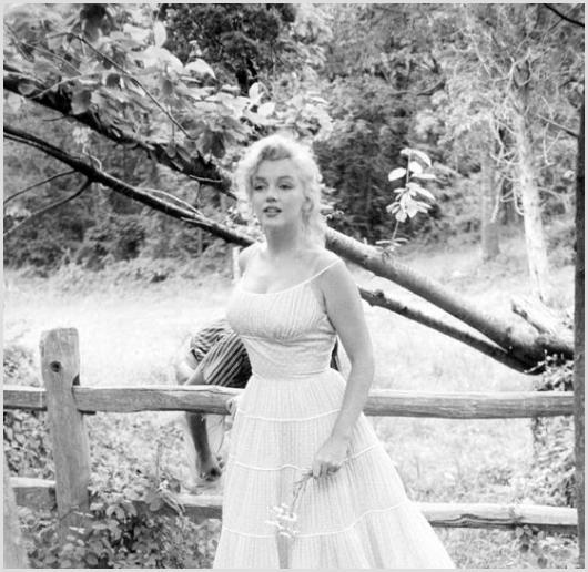 Marilyn Monroe, Roxbury #1 Photo by Sam Shaw: Description of image: Marilyn Monroe on the 350 acre farm in Roxbury, CT, c. 1957. Sam Shaw was photographing Marilyn and the reclusive Arthur Miller on their summer estate. Marilyn appearing happy an