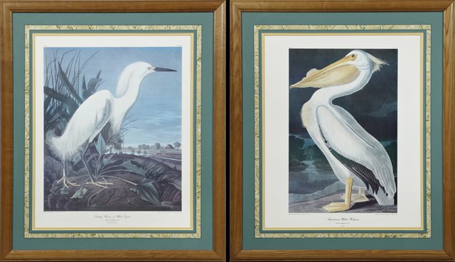 John James Audubon (1785-1851), "Snowy Heron," No. 49, (1 of 2)