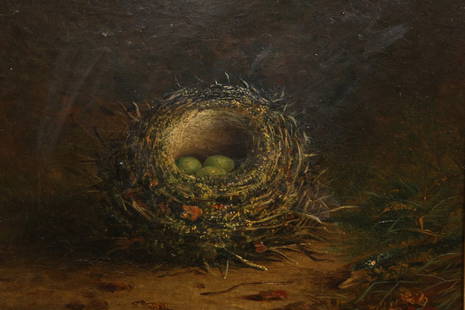 Tom Hold (19th Century): Tom Hold (19th Century), Still life of a bird's nest with eggs, signed lower left, inscribed verso Hedge Sparrow, oil on canvas, framed. 24cm by 29cm