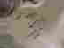 item-589072=3