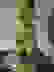 item-589076=3