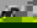 item-735300=2