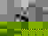 item-735300=3