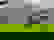 item-735300=5