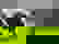 item-735300=6