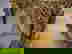 item-735407=2