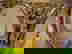 item-735407=3