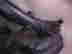 item-6964595=3
