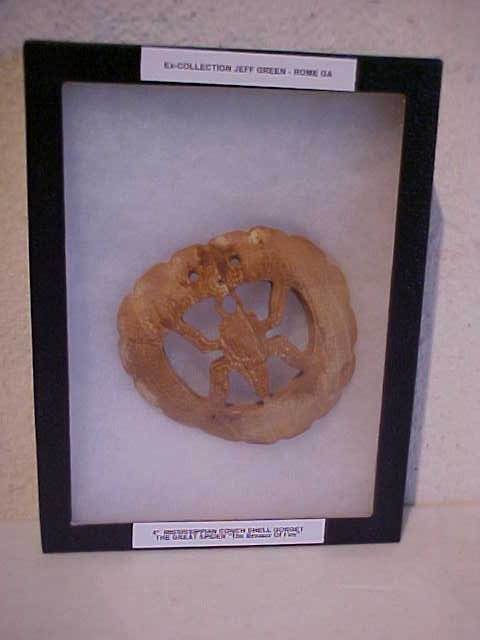 4" Miss. Conch shell gorget "The Great Spider": 4" Miss. Conch shell gorget "The Great Spider"