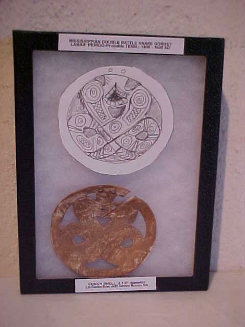 Rattlesnake conch shell gorget 1400 - 1600 AD: Rattlesnake conch shell gorget 1400 - 1600 AD