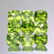 Natural Green Peridot 6x6 MM Cushion Cut Loose Gemstone - 2