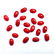Natural Red Coral 3x5 MM Oval Cabochon Loose Gemstone