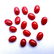 Natural Red Coral 7x5 MM Oval Cabochon Loose Gemstone