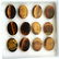 Natural Tiger's Eye 7x5 MM Oval Cut Loose Gemstone Lot