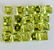 Natural Green Peridot 5x5 MM Square Cut Loose Gemstone - 4