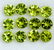 Natural Green Peridot 6 MM Round Cut Loose Gemstone Lot