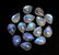 Blue Fire Rainbow Moonstone 8x10 MM Pear Cabochon Loose