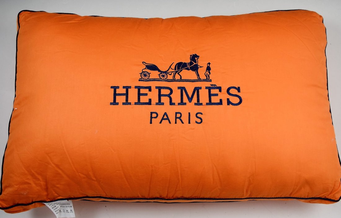 Hermes Pillow (1 of 1)