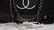 Chanel VIP Handbag - 2