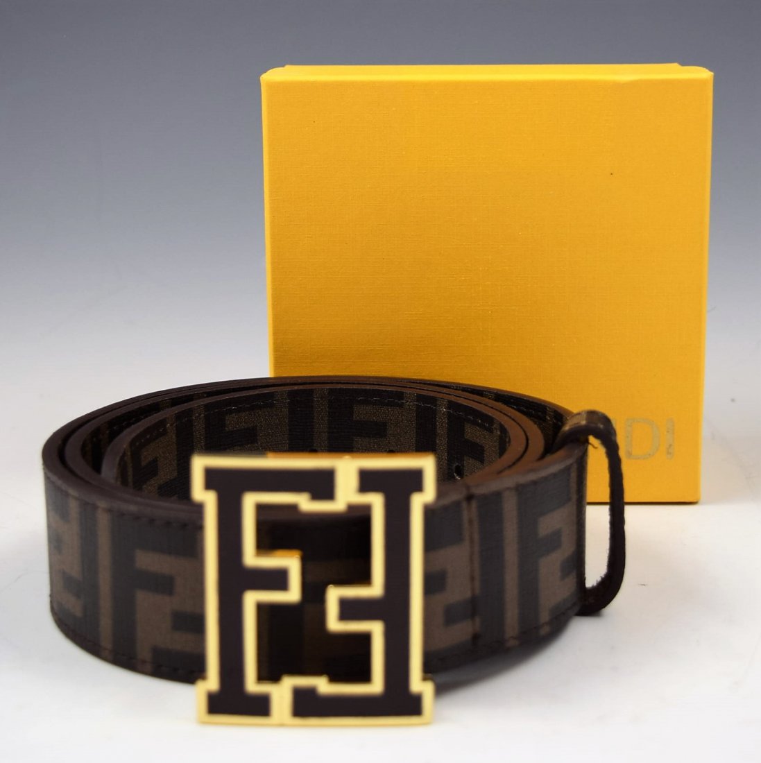 Fendi Belt (1 of 2)