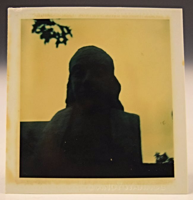 Andy Warhol Polaroid (1 of 3)