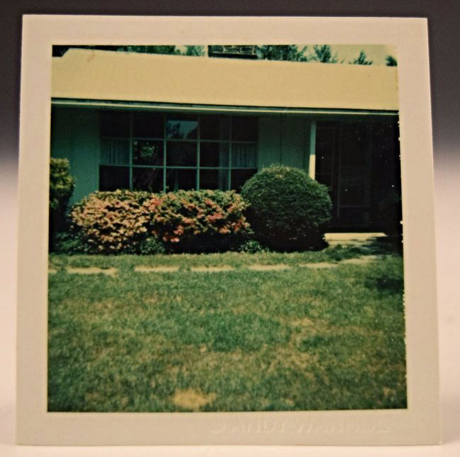 Andy Warhol Polaroid (1 of 3)