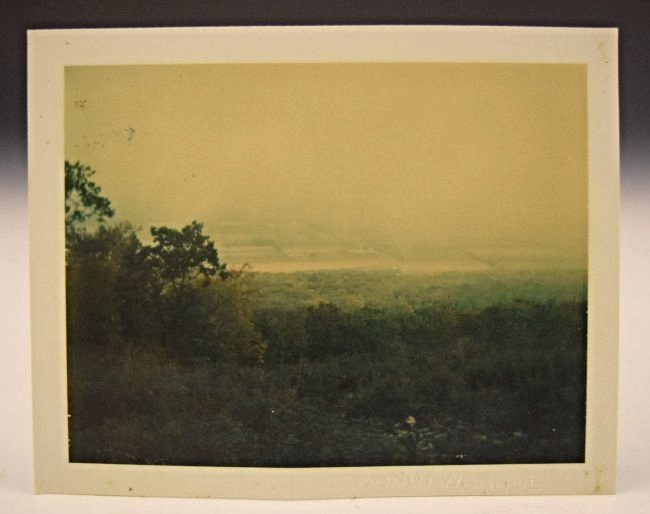 Andy Warhol Polaroid (1 of 3)