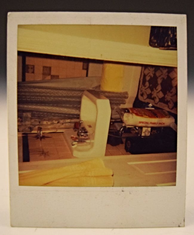 Andy Warhol Polaroid (1 of 2)