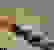 item-44882417=3