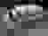 item-45162445=2