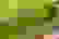 item-45193731=4