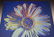 Andy Warhol Wynn Casino Floral Print - 2