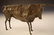 After Pablo Picasso Bronze Bull