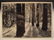 Ansel Adams Postcard - 2