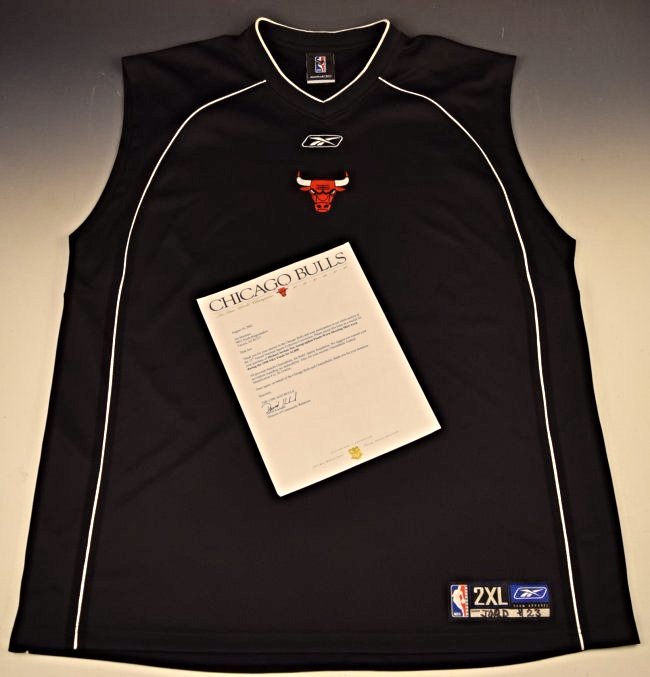 Michael Jordan Finals Game Worn Jersey (1 of 3)
