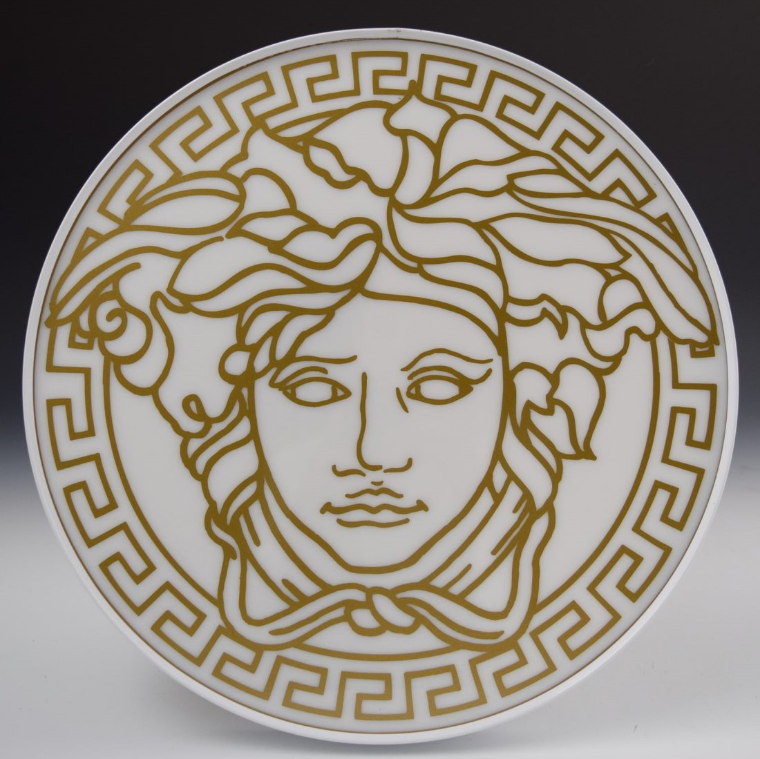 Versace Logo Display (1 of 1)