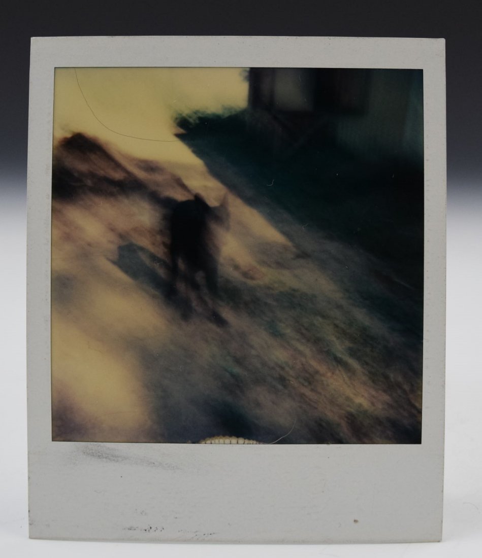 Andy Warhol Polaroid (1 of 3)