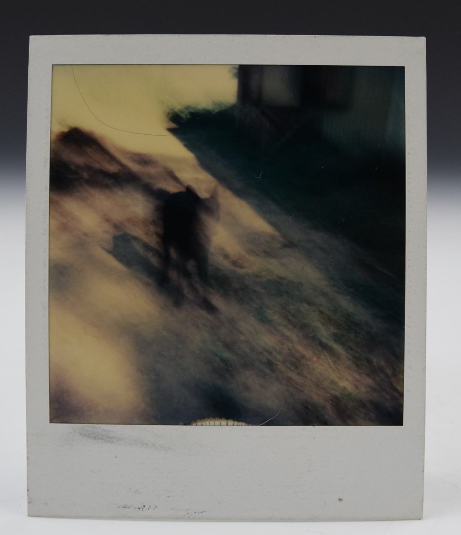 Andy Warhol Polaroid (1 of 3)