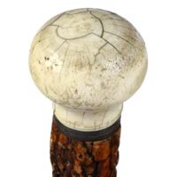 Ivory Knob
