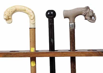 Group of canes: Group of canes Plastic crutch , metal and wood container stick, resin