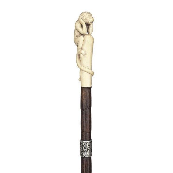 Ivory Monkey Cane-Dated 1900 with Hallmarks-An extr: Ivory Monkey Cane-Dated 1900 with Hallmarks-An extremely nice carved ivory handle, stepped partridge shaft, engraved silver collar and a metal ferrule-H. 4 ½" x 1 ½", O.L. 38 ¼"-$2,000-$3,000